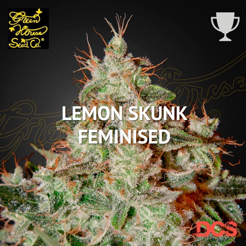 Lemon Skunk - Green House Seeds - Discount Cannabis Seeds