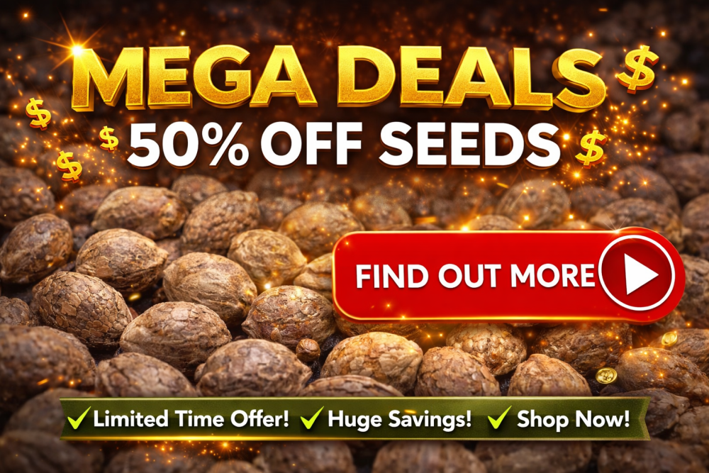 Mega Deals Cannabis Seeds At Discount Cannabis Seeds.