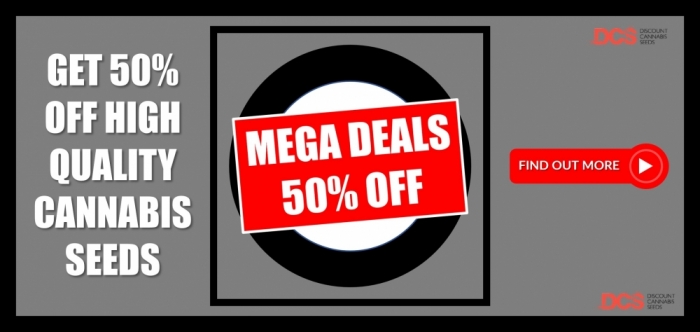 Mega Deals at Discount Cannabis Seeds Get 50% Off on Strains Now!