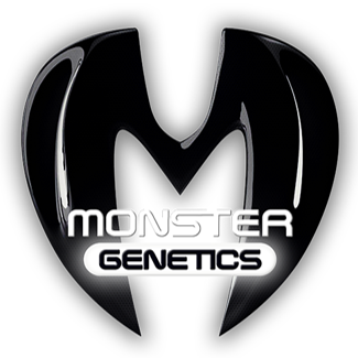 Monster Gelato Feminised Cannabis Seeds | Monster Genetics