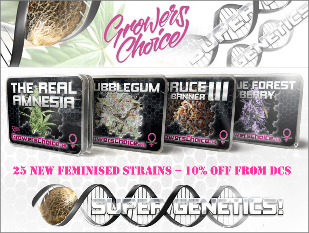 Growers Choice Seeds from Discount Cannabis Seeds