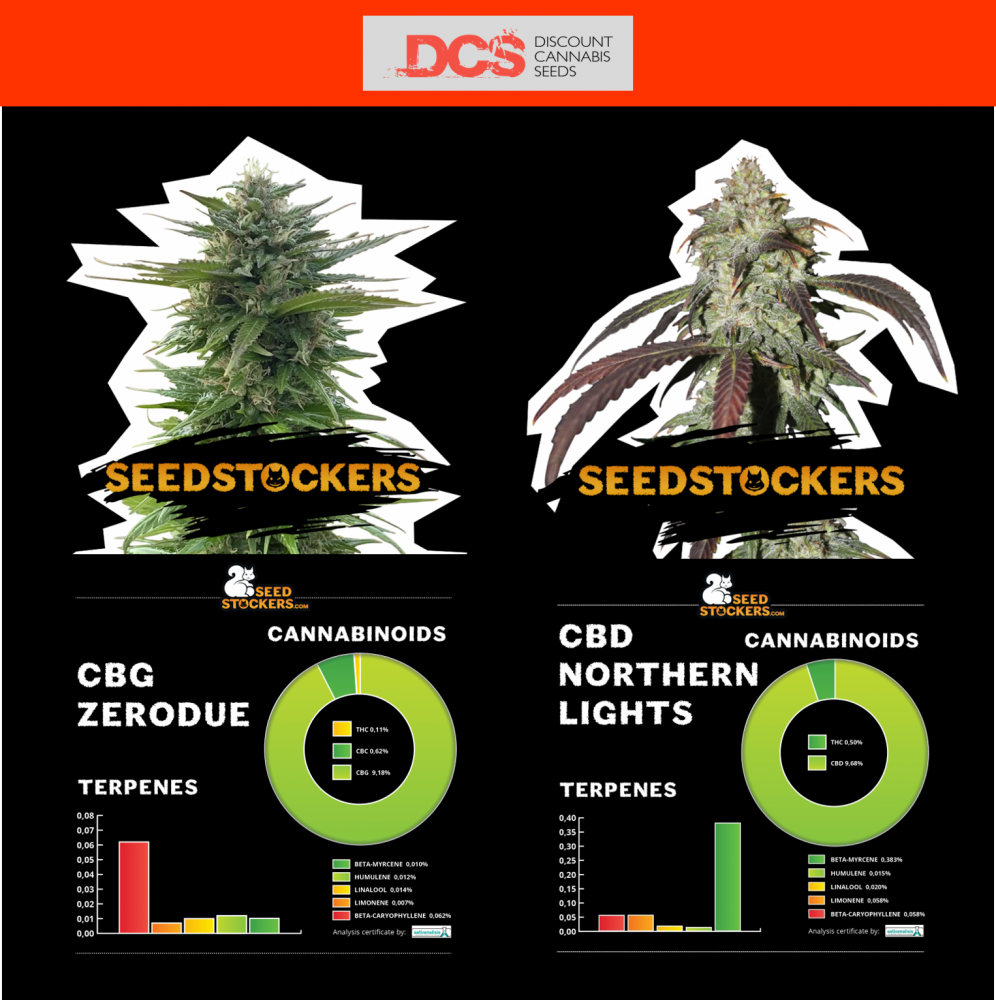 New CBD and CBG Strains from Seed Stockers