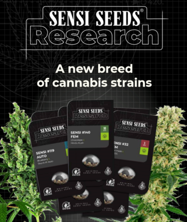 Cannabis Seeds - Sensi Seeds Research