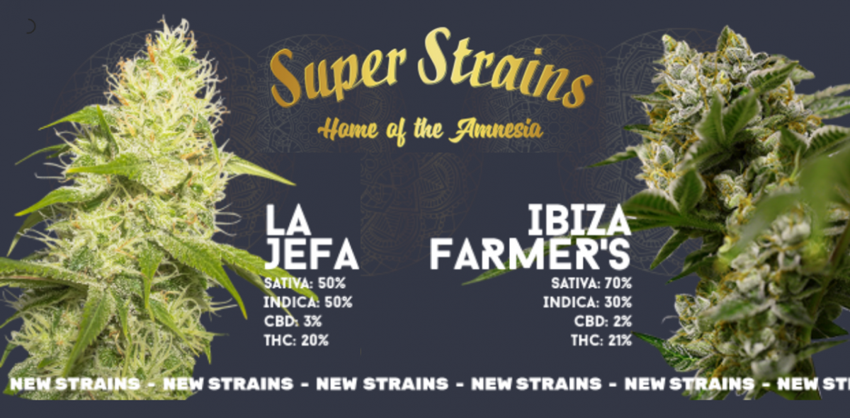 Super Strains - Discount Cannabis Seeds