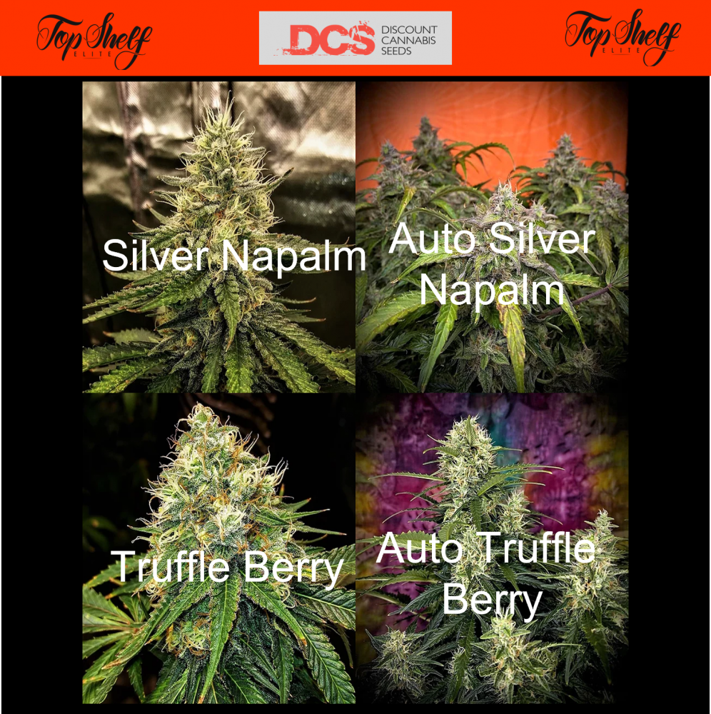 New Strains from Top Shelf Elite - Discount Cannabis Seeds