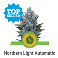 Northern Light Automatic - Royal Queen Seeds - Discount Cannabis Seeds