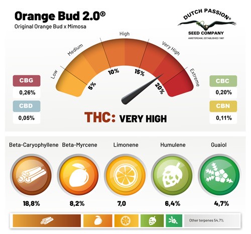 Orange Bud 2.0 - Dutch Passion
