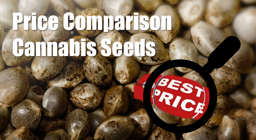 Price Comparison | Cannabis Seeds | Discount Cannabis Seeds