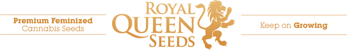 Cannabis Seeds - Royal Queen Seeds - Discount Cannabis Seeds