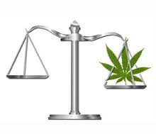 Cannabis Law Reform - Discount Cannabis Seeds