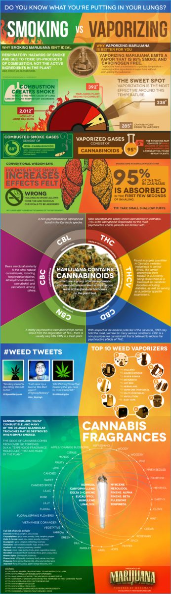 Cannabis Seeds - Smoking VS Vapourising