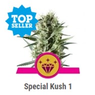 Special Kush 1 - Royal Queen Seeds - Discount Cannabis Seeds