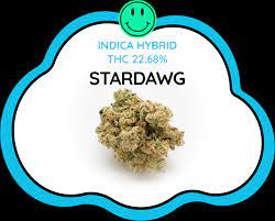 Stardawg Cannabis Seeds: Offers at Discount Cannabis Seeds