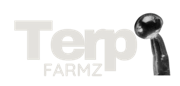 Cherry Burger Feminised Cannabis Seeds- Terp Farmz.