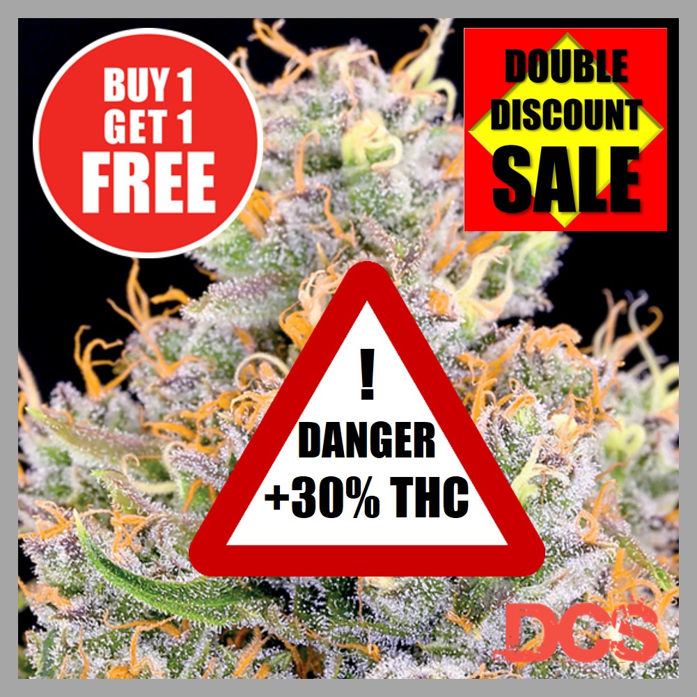 Strongest THC Strains - Discount Cannabis Seeds