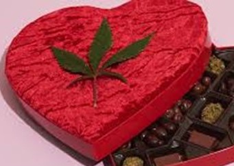 Valentine’s Cannabis Strains for your loved one at Discount Cannabis Seeds
