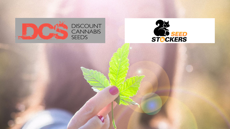 Cannabis Seeds - Seed Stockers - Discount Cannabis Seeds