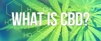 What is CBD? - Discount Cannabis Seeds