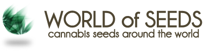 Strawberry Blue Early Version - World of Seeds - Discount Cannabis Seeds