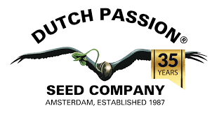 Power of Dutch Passion Cannabis Seeds at Discount Cannabis Seeds.