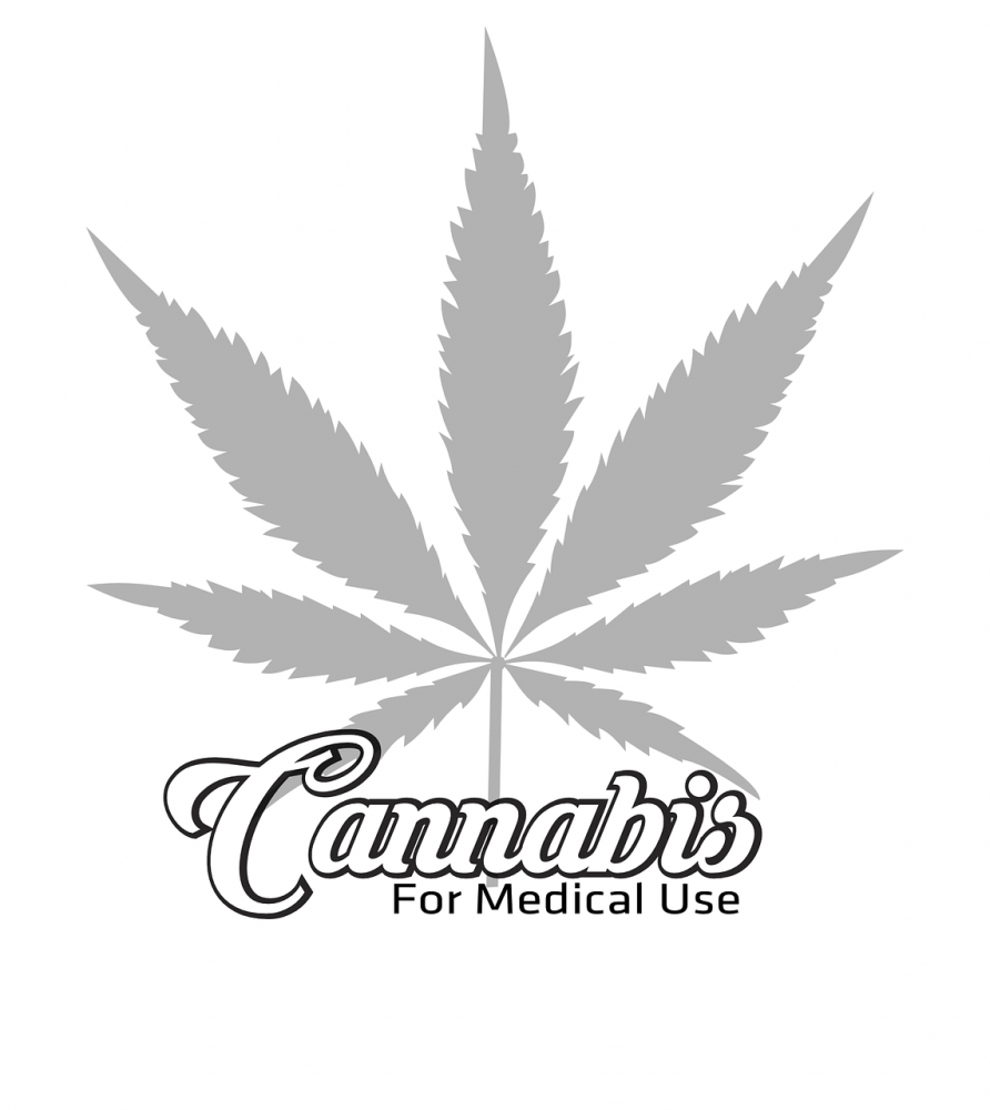 Discount Cannabis Seeds Superiority in the Competitive Market.