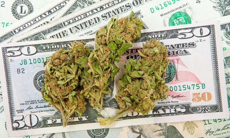 Cannabis legality and the Banks | Discount Cannabis Seeds