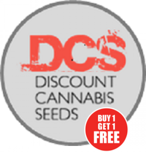 BOGOF Deals on Cannabis Seeds at Discount Cannabis Seeds.