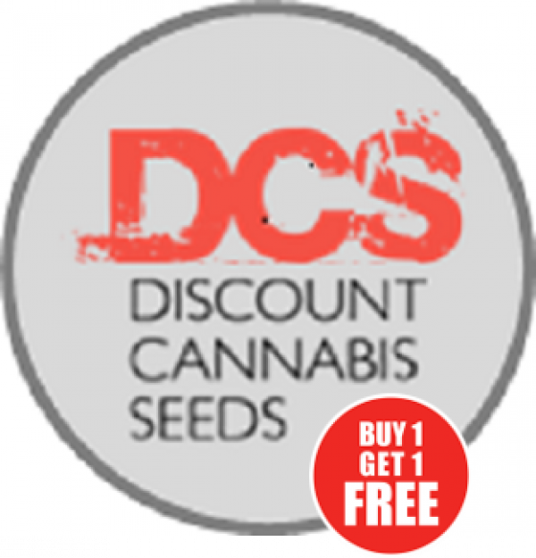 Discount Cannabis Seeds For Unbeatable BOGOF Deals