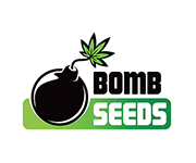 Bomb Seeds Cannabis Seeds Review - Discount Cannabis Seeds