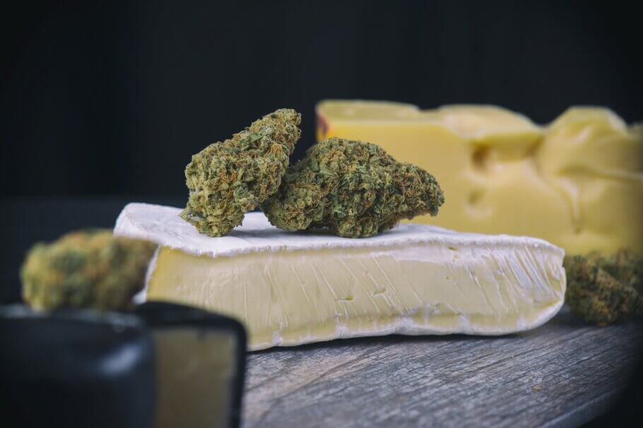 Finest Cheese Cannabis Seeds Strains at Discount Cannabis Seeds.