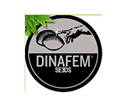Dinafem - Discount Cannabis Seeds
