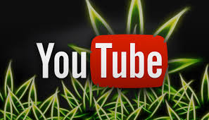 Cannabis Seeds - Cannabis News on YouTube - DCS.