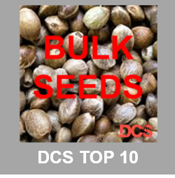 Buy Bulk Seeds from Discount Cannabis Seeds