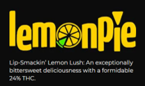 Lemon Pie Auto - Discount Cannabis Seeds