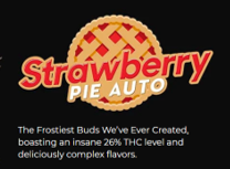 Strawberry Pie Auto - Discount Cannabis Seeds