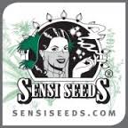 Buy Sensi Seeds at Discount Cannabis Seeds