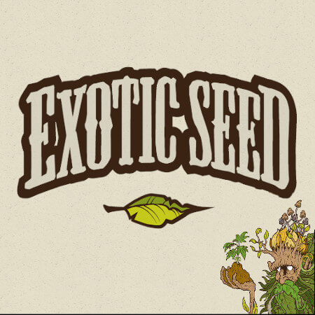 Exotic Cannabis Seeds