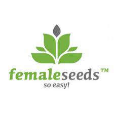 Female Seeds at Discount Cannabis Seeds are a Game-Changer.