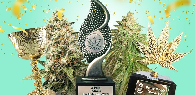 https://www.discountcannabisseeds.co.uk/
