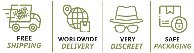 https://www.discountcannabisseeds.co.uk/