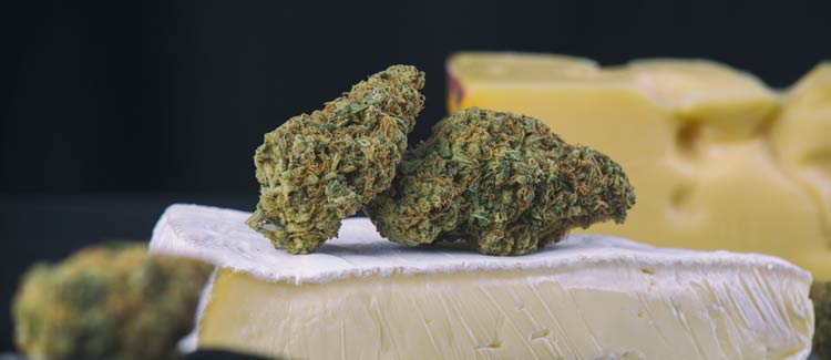 https://www.discountcannabisseeds.co.uk/