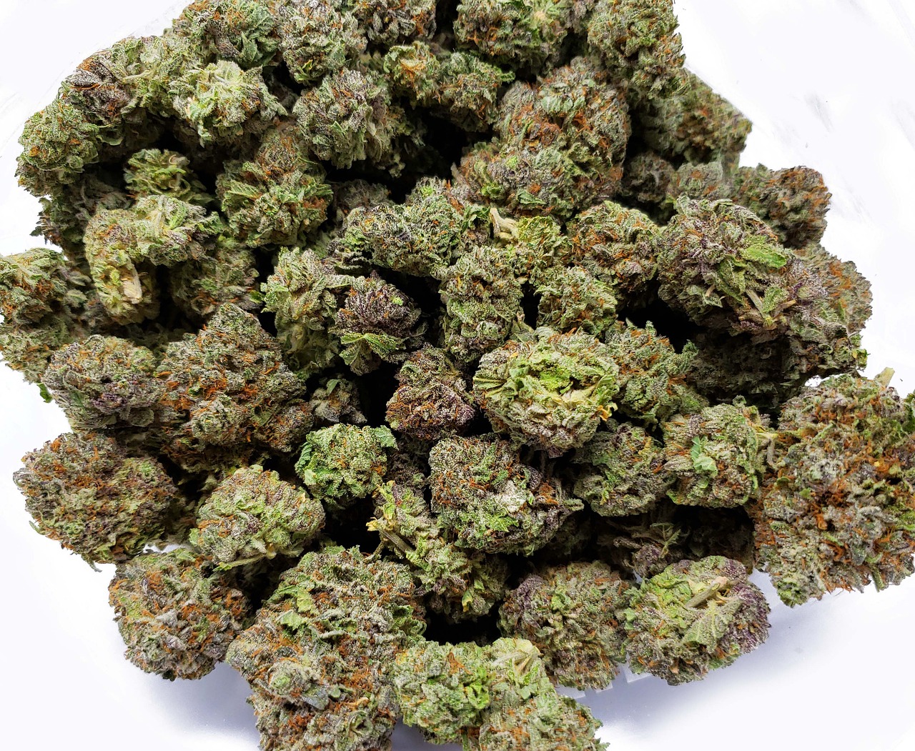 https://www.discountcannabisseeds.co.uk/