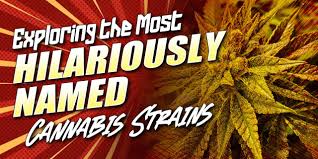 https://www.discountcannabisseeds.co.uk/