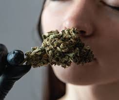 https://www.discountcannabisseeds.co.uk/