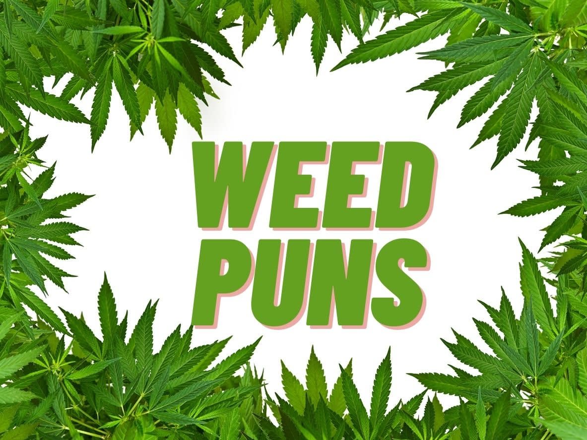 https://www.discountcannabisseeds.co.uk/
