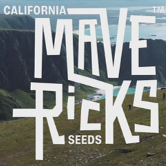 Mavericks Seeds - Discount Cannabis Seeds
