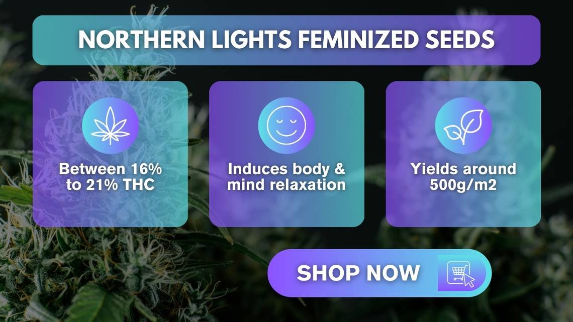 https://www.discountcannabisseeds.co.uk/