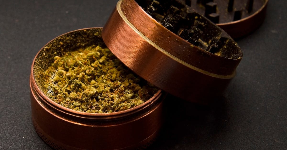 https://www.discountcannabisseeds.co.uk/