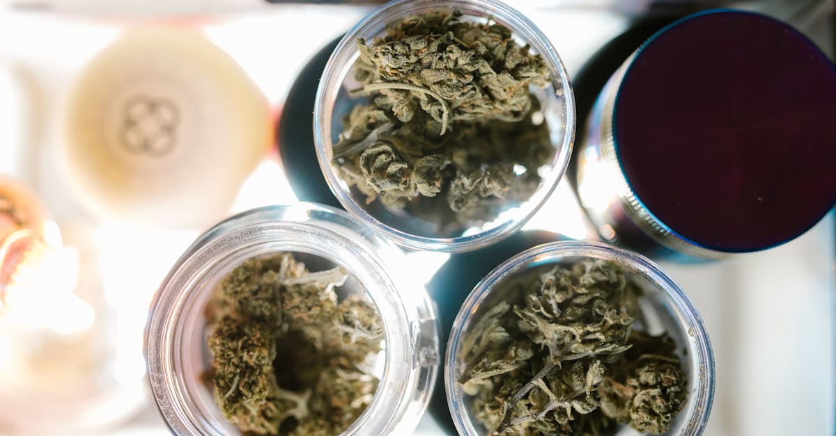 https://www.discountcannabisseeds.co.uk/