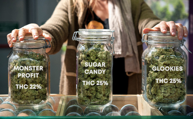 https://www.discountcannabisseeds.co.uk/